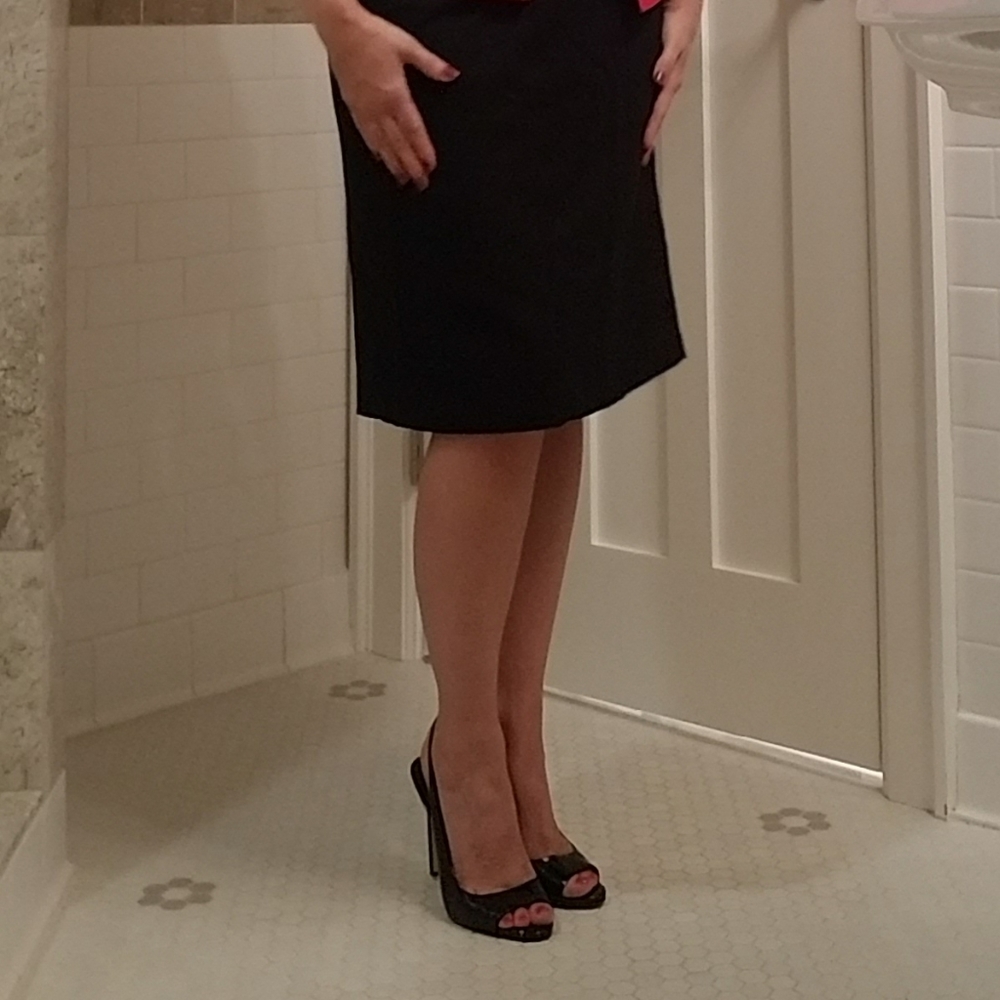 Anne Taylor Pencil Skirt